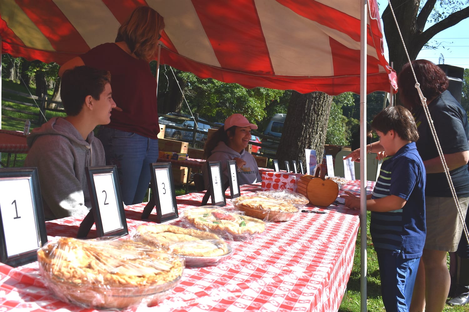 Enter the largest apple pie baking contest on Long Island TBR News Media