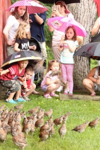 Children and parents watch quail being released. Photo by Talia Amorosano