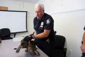 SPCA Chief Roy Gross handles the alligator snapping turtle on Thursday, Aug. 27. Photo by Victoria Espinoza 