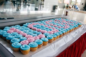 Members of the hospital arranged blue and pink cupcakes to celebrate the 100,00th birth at the Stony Brook University Hospital. Photo By Giselle Barkley