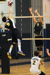 Ward Melville's Matt Lilley leaps up for the block against Northport's Nick Bitteto. Photo by Bill Landon 