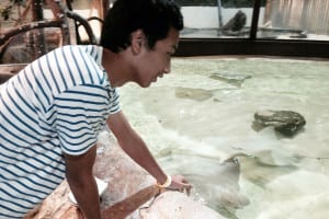 Foreign exchange student Ponrakit ‘Rio’ Puorcharoen takes a trip to the aquarium with his host family. Photo from Lynellen Nielsen