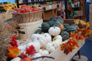 Ann Marie's Farmstand in Port Jefferson Station displays some of the many different varieties of squash available in the fall. Photo by Ellen Barcel