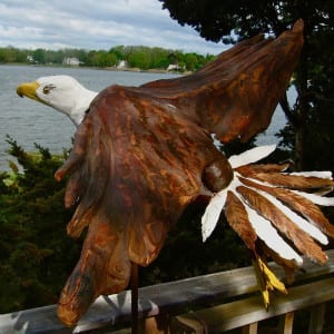 Bald eagle by Roger Kramer