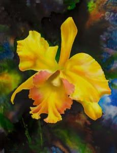 'Yellow Orchid,’ Mixed Media on Canvas, by Ross Barbera
