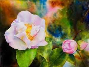 ‘White Camelia,’ Mixed Media on Canvas, by Ross Barbera
