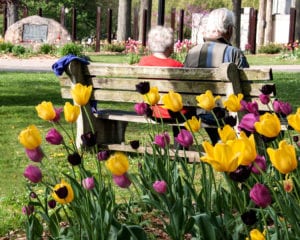 ‘Resting Among the Tulips,’ Honorable Mention last year, by Mary Ruppert of Huntington