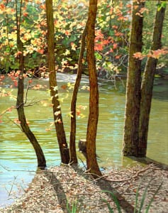 ‘Pond without Duck,’ oil, by Shain Bard