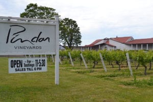 Pindar Vineyards is located on Route 25 in Peconic and is accommodating to groups large and small. Photo by Alex Petroski