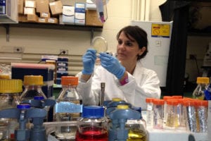 Postdoctoroal student Antonella Rella who is working on an antiviral vaccine in Del Poeta’s laboratory at SBU. Photo by Maurizio Del Poeta
