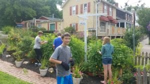 Teens pick vegetables in the community garden to donate to a local food pantry. Photo courtesy of PJFL