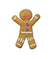 gingy