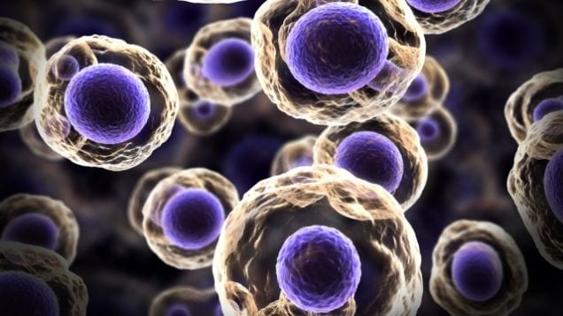 Life Lines Looking For LUCA The First Living Cell TBR News Media
