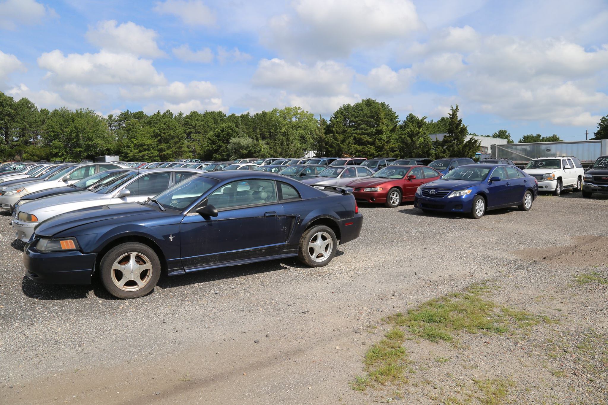 Suffolk County Police Rev Up for Vehicle Auction - Score Your