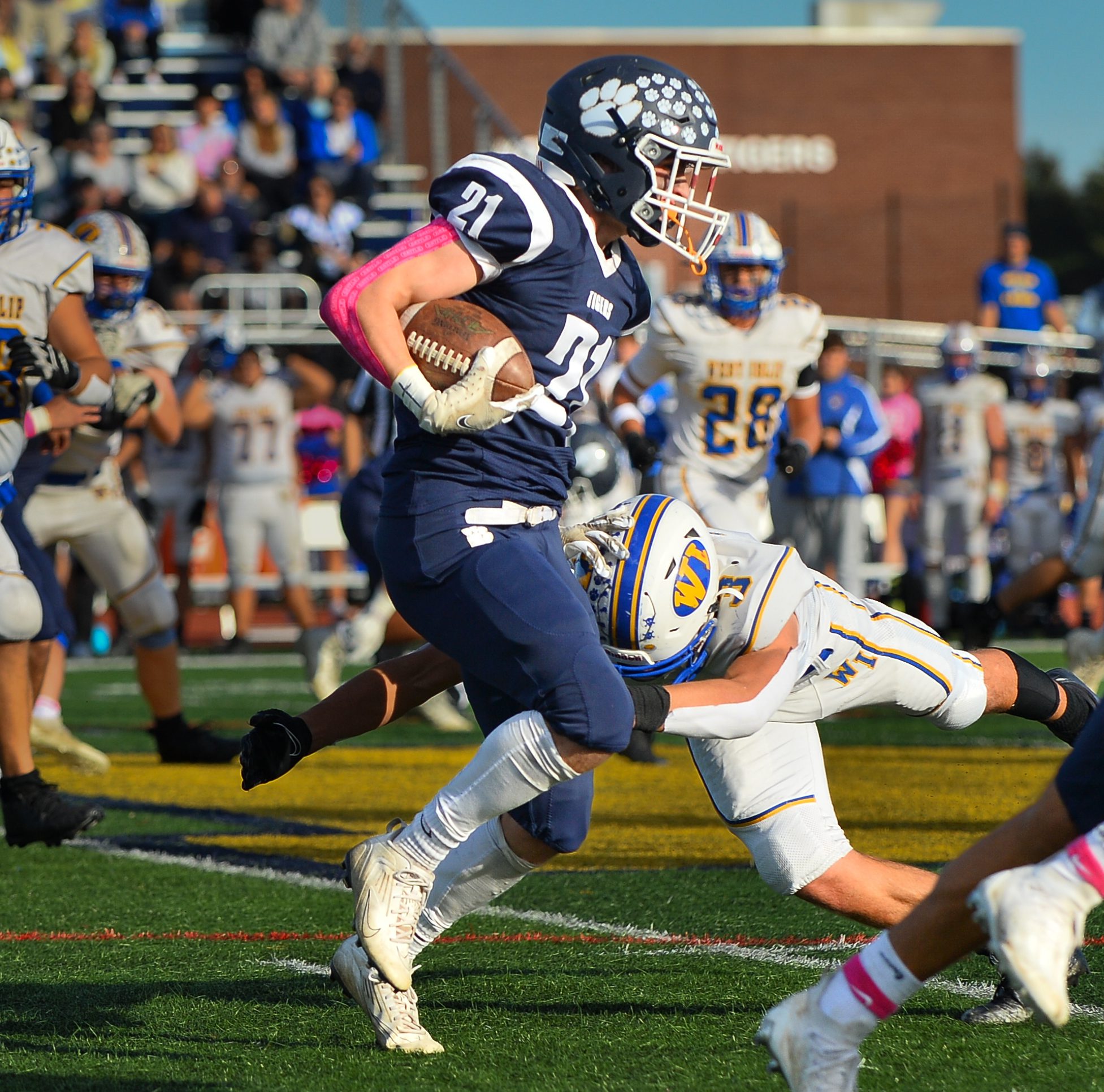 Northport Tigers triumph using class, commitment and character | TBR ...