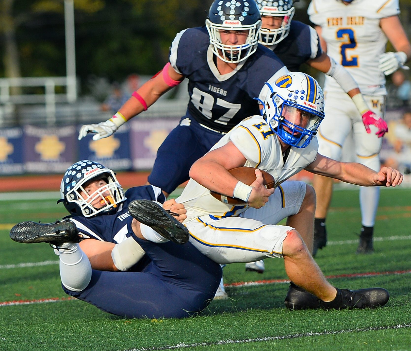 Northport Tigers triumph using class, commitment and character | TBR ...