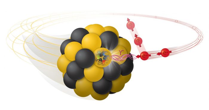 Brookhaven National Laboratory Science Learning Center - 3 tips