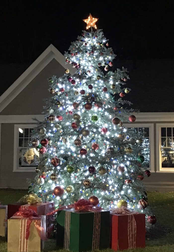 MAKING THE SEASON BRIGHT: Holiday Tree Lightings on the North Shore ...