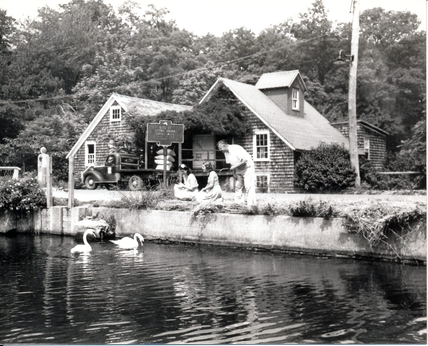 Stony Brook Mill Pond Fishing Club, Inc. – Ward Melville Heritage  Organization