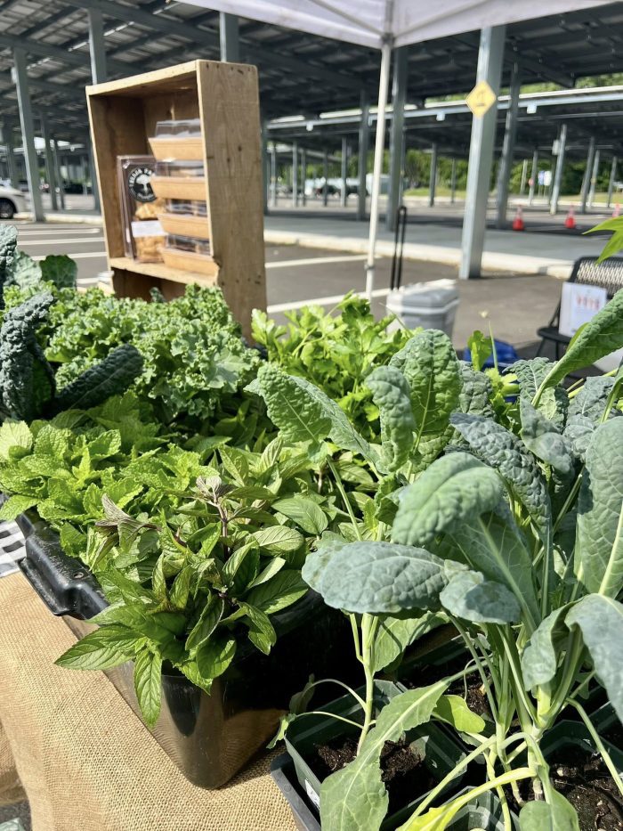 Elijah farm