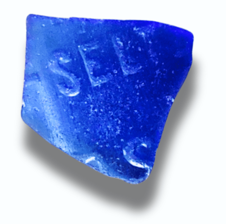 Local student writers shine in Whaling Museum’s 2025 Sea Glass Fiction Contest